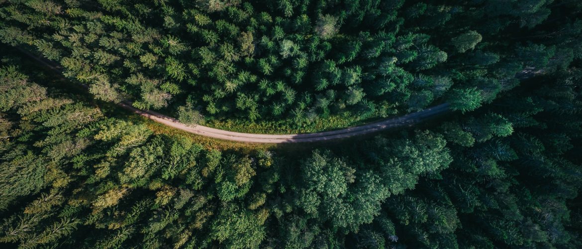 Tasse automobilistiche Regione Siciliana: riduzioni ed esenzioni