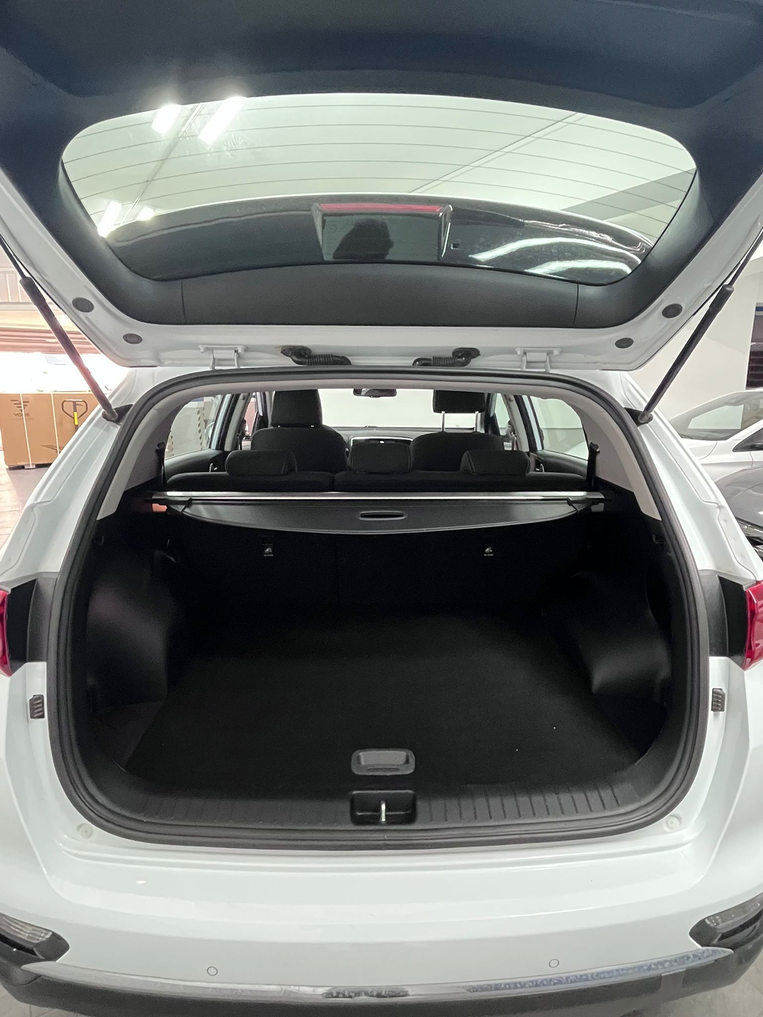 Kia Sportage 1.6 crdi mhev 115cv